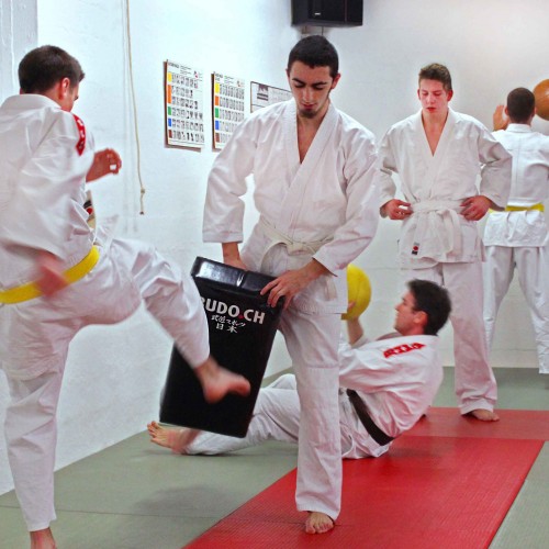 Ju-Jutsu Training