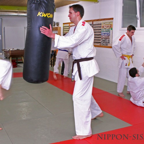 Ju-Jutsu Training